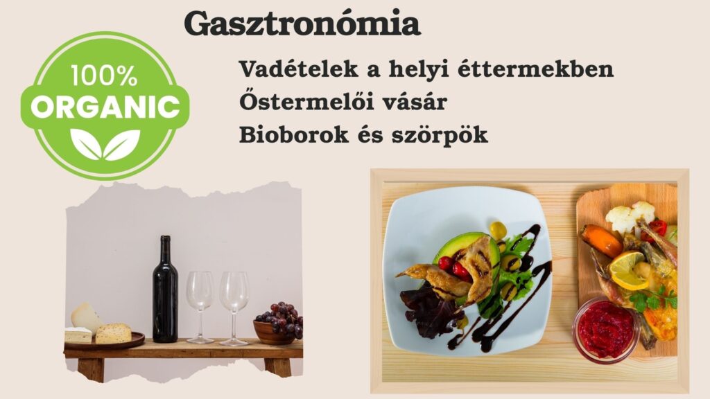 Nyitott kapuk hétvégéje - Gasztro programok