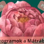 Június 7-9. Programok Pünkösdkor