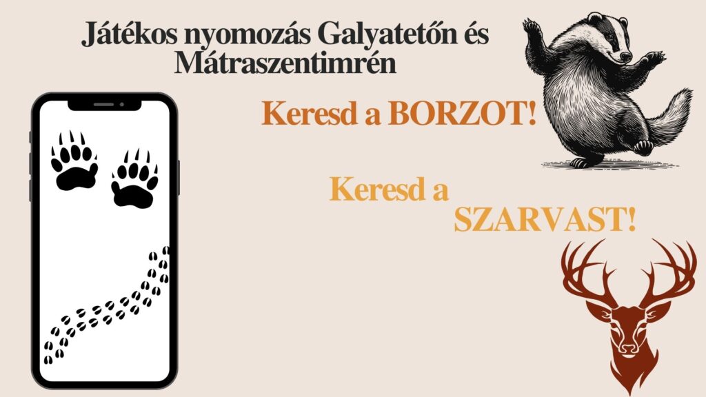 Nyitott Kapuk Hétvégéje - Játékos borzvadászat!